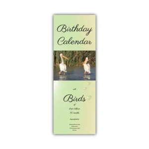 Gelungener Geburtstagskalender: birds, 12 Monate, cirka 42 x 15 cm, Englisch, unendlicher Kalender, ab 10,96 €