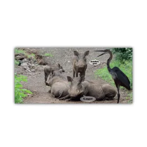 Karte: Gratuliere, guat! Ab 1,45 €