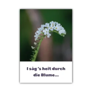 Karte: durch die Blume in Regionalsprache