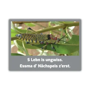 Postkarte: S Lebn is ungwiss