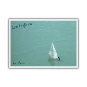 Postkarte: aus dem Wasser