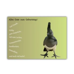 Geburtstagskarte mit Pfiff, ab 1,27 €