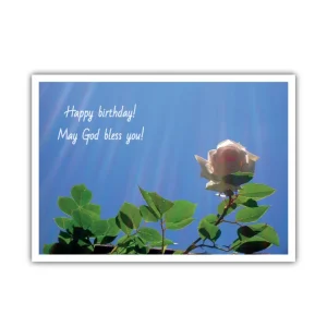 Englische Geburtstagskarte: Rose im Sonnenschein, ab 1,06 €