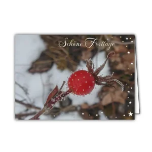 Set: 3x Weihnachtsbillet "Hagebutte"