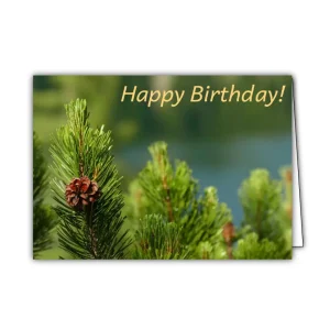 Set: 3x Billet Happy Birthday - Legeföhre (mit Kuvert), pro Set ab 6,88 €