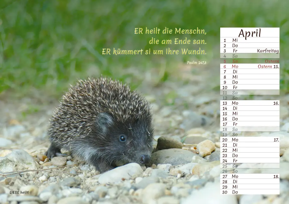 Kalender Österreich